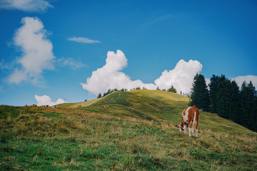 das sind wir nachhaltigkeit Bauernhof